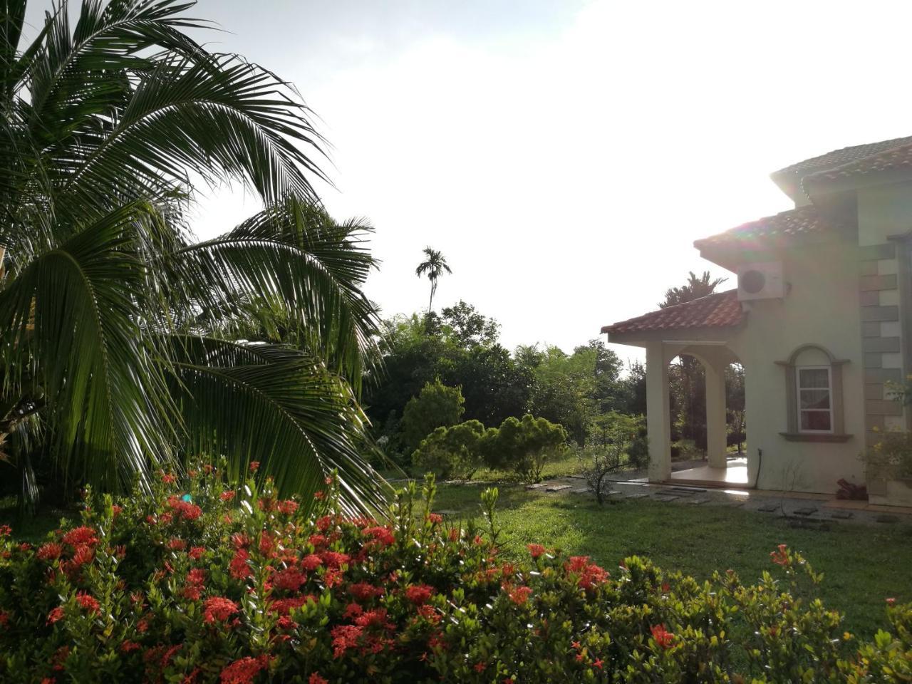 Guesthouse Dragon Place 太平 外观 照片