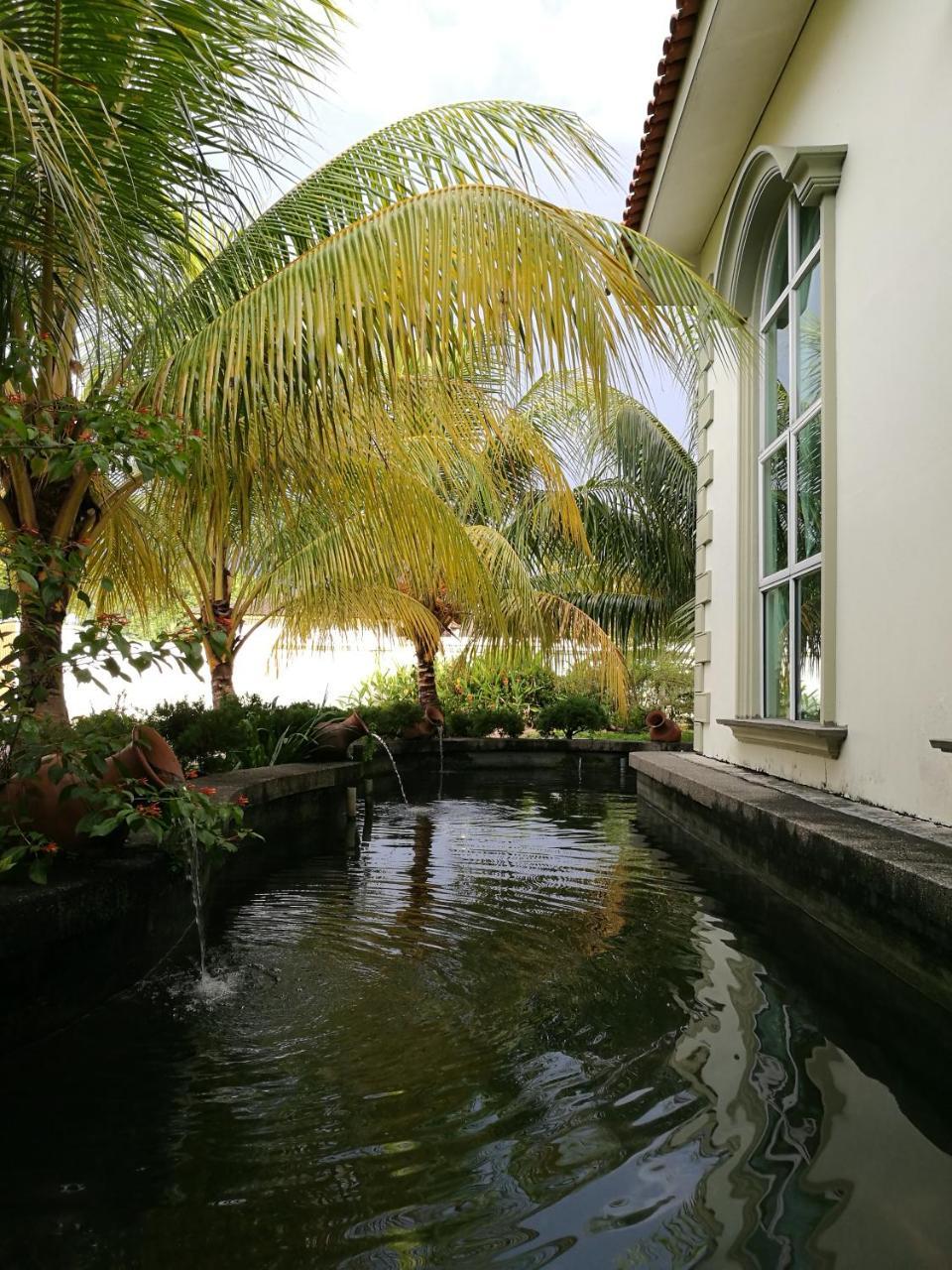 Guesthouse Dragon Place 太平 外观 照片