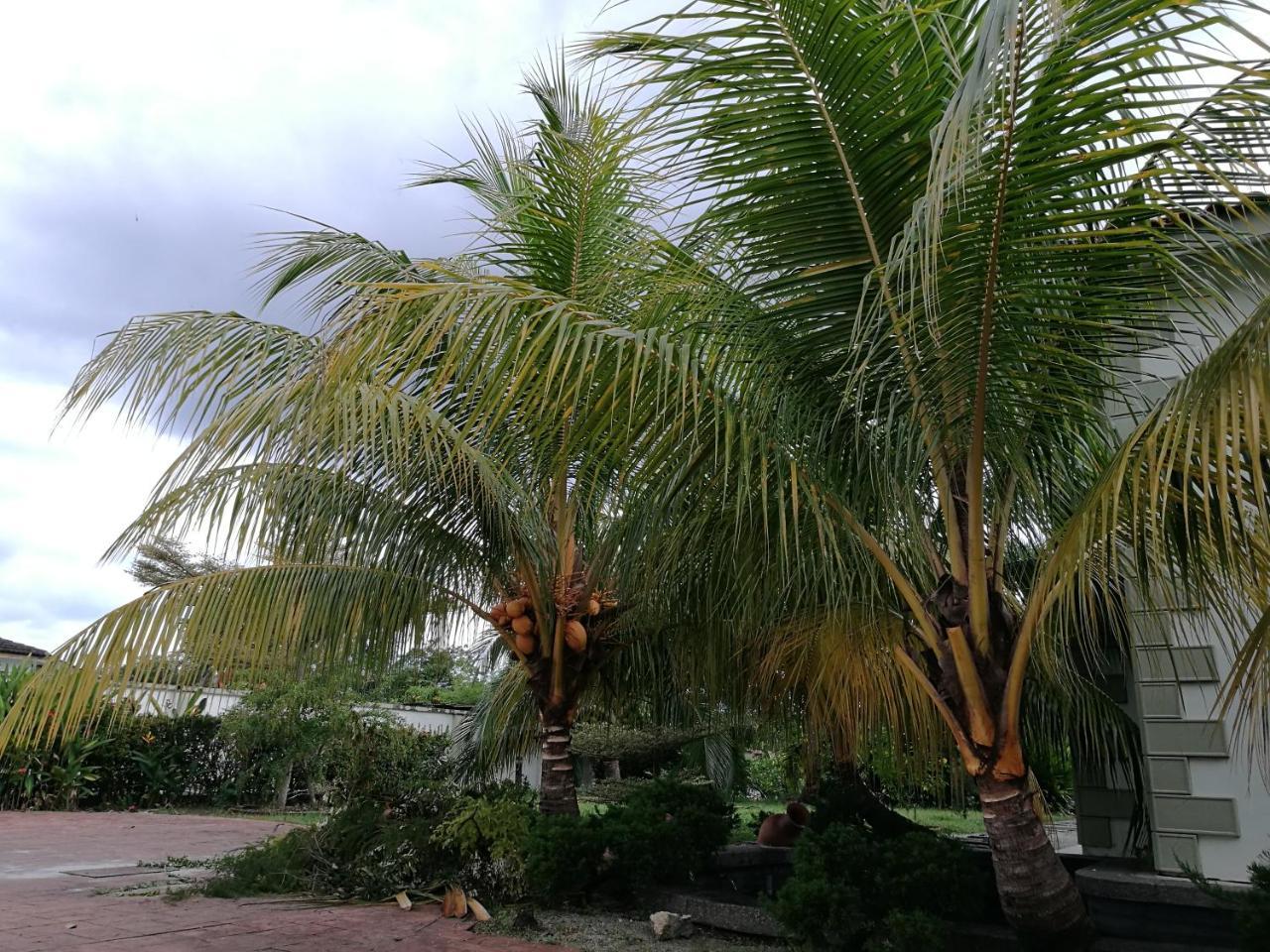Guesthouse Dragon Place 太平 外观 照片